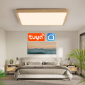 Modern European Style 24W/36W Tuya Wi-Fi Ultra-Mounted Square Slim LED Ceiling Light for Home